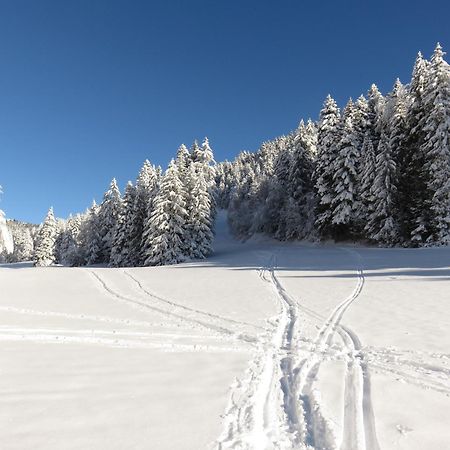 Gite La Resilience, Sur La Piste De Ski D'Autrans Εξωτερικό φωτογραφία