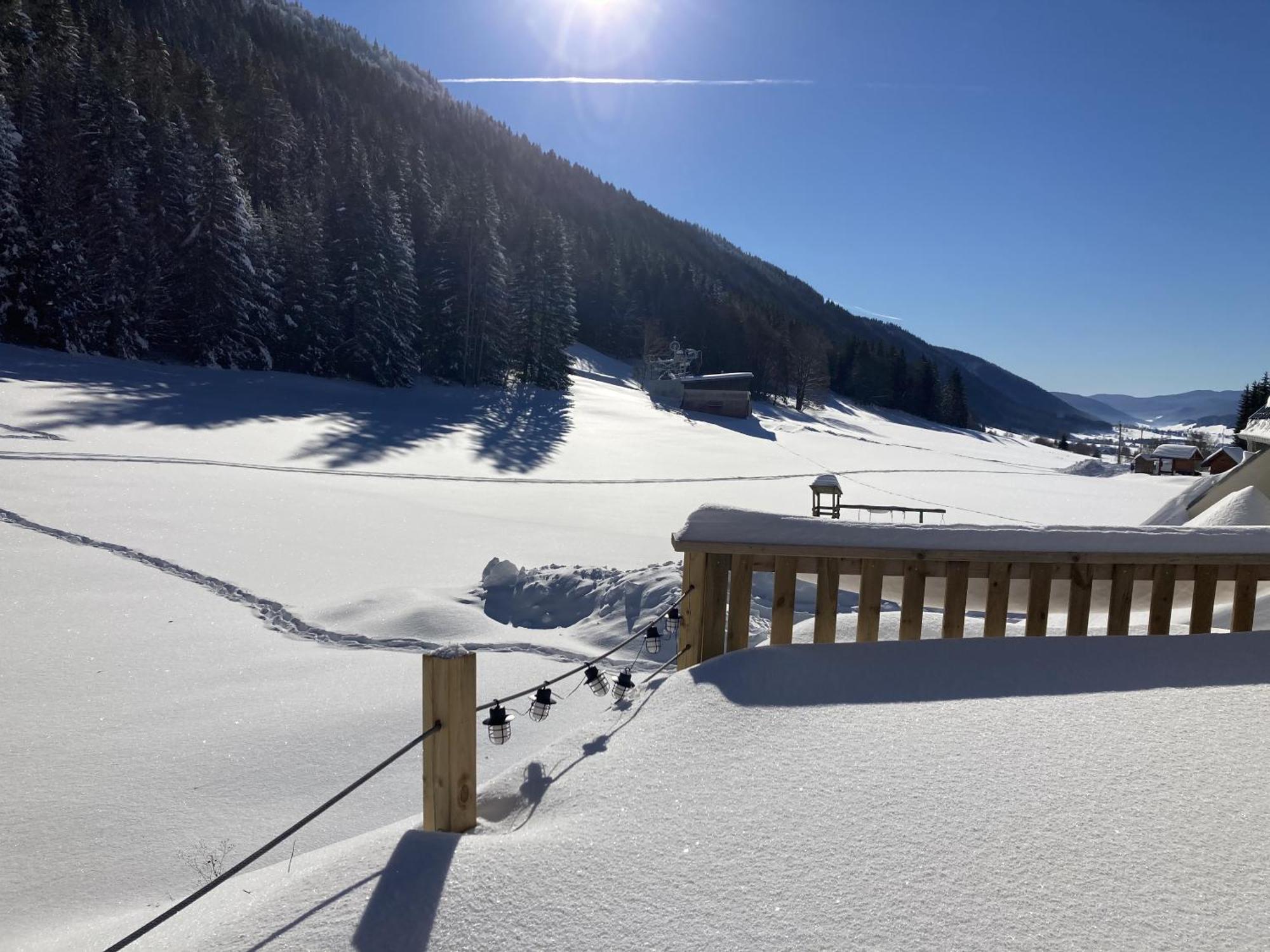 Gite La Resilience, Sur La Piste De Ski D'Autrans Δωμάτιο φωτογραφία