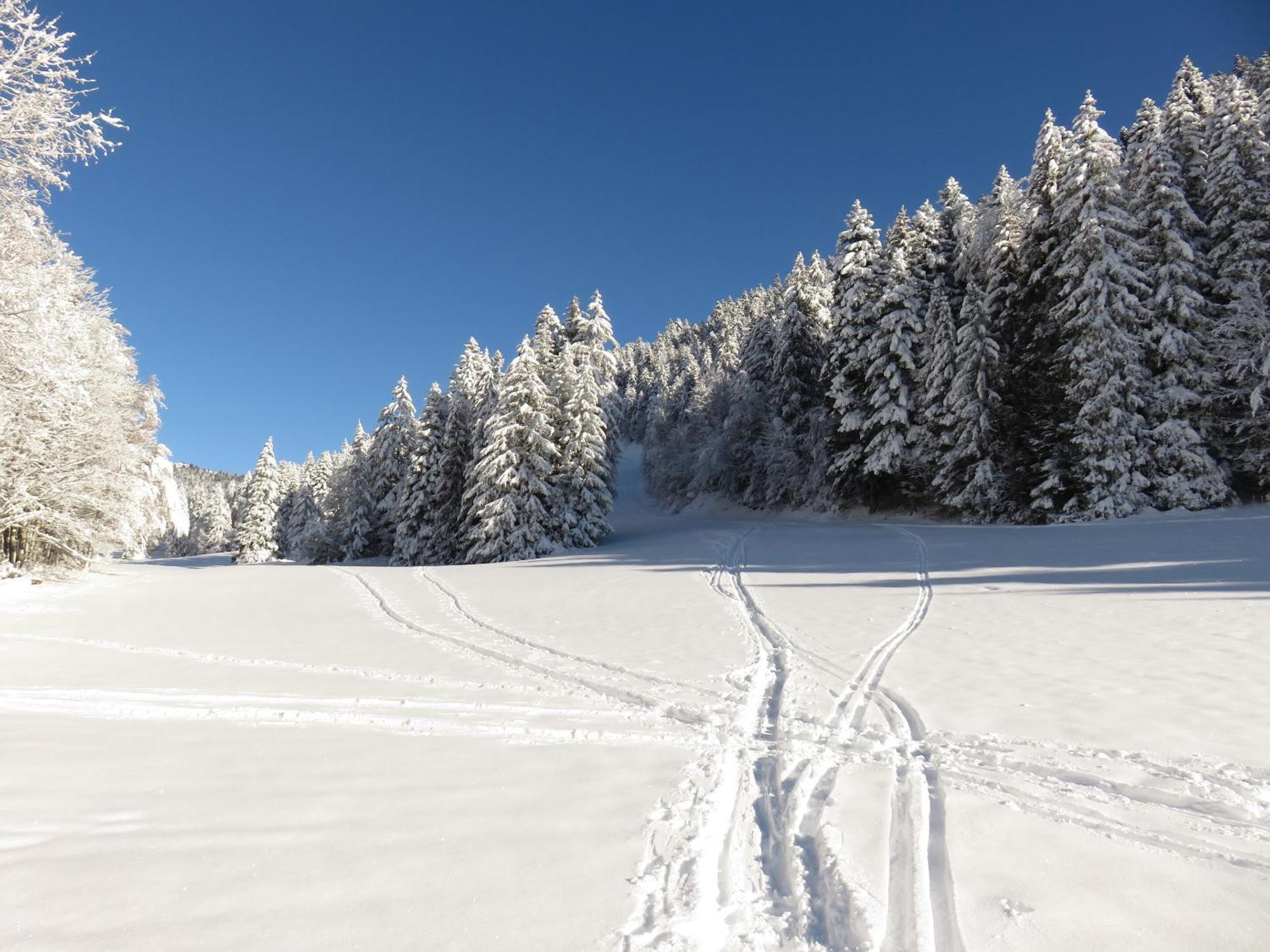 Gite La Resilience, Sur La Piste De Ski D'Autrans Εξωτερικό φωτογραφία